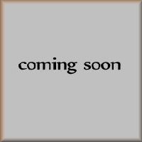 free standing mesh door screens coming soon link button